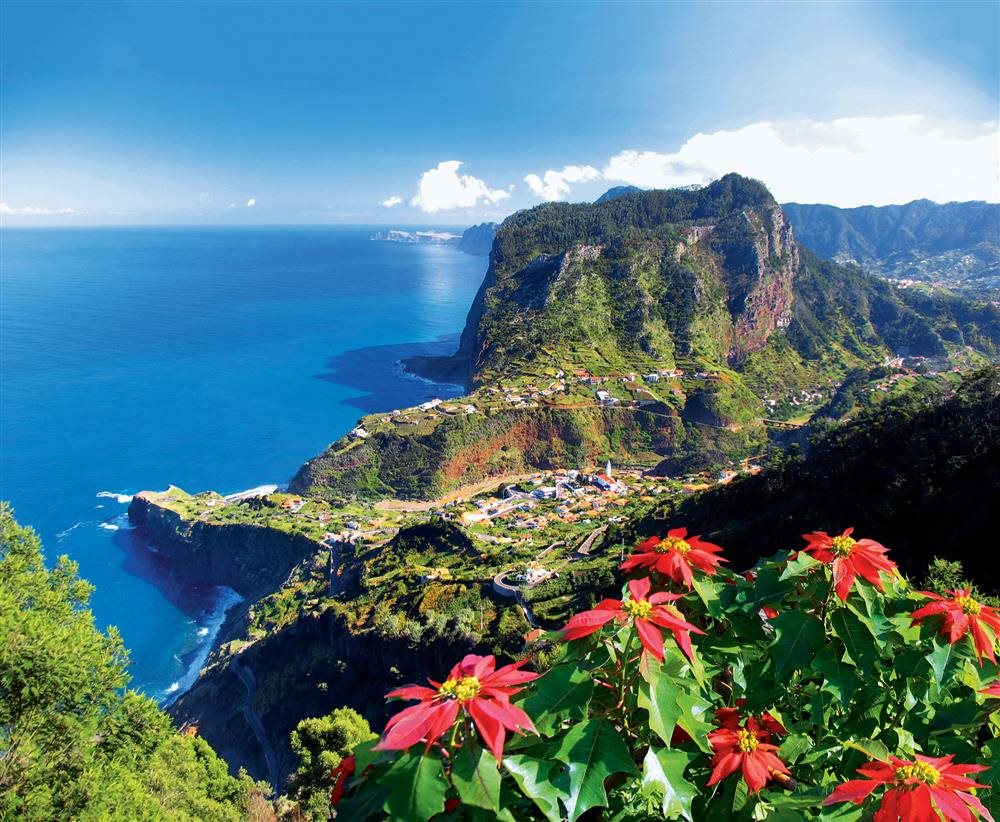 Source by nationalgeographic on www.nationalgeographic.com.es
https://viajes.nationalgeographic.com.es/a/madeira-jardin-flor_9420/1