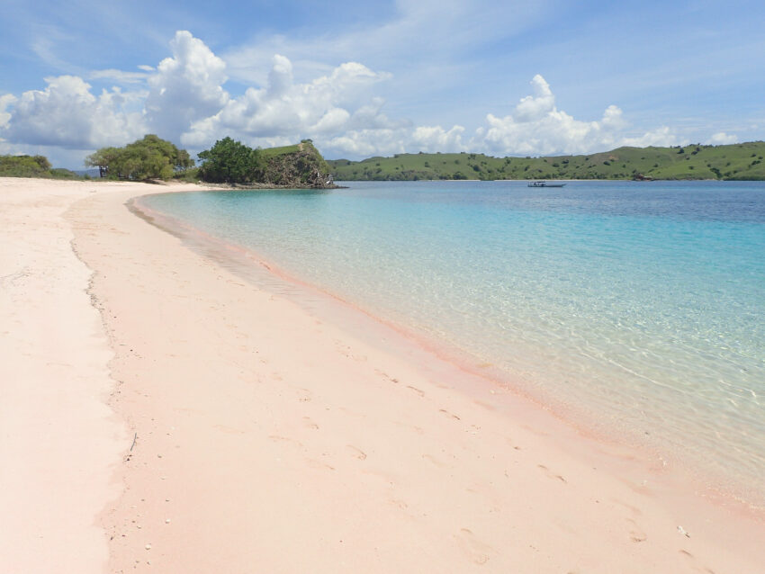 Pink Beach, Komodo, Indonesia