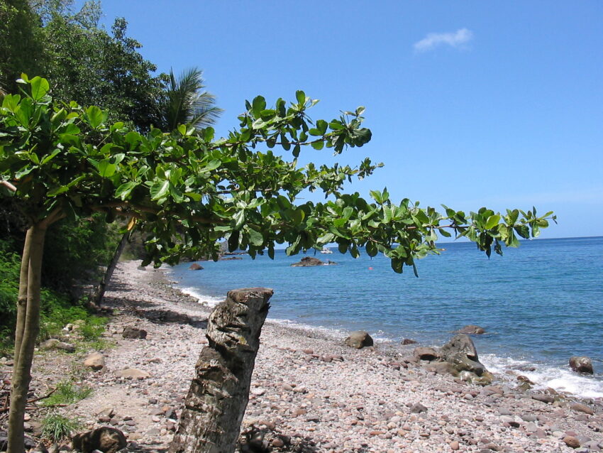 Champagne Beach, Pointe Michel, Dominica