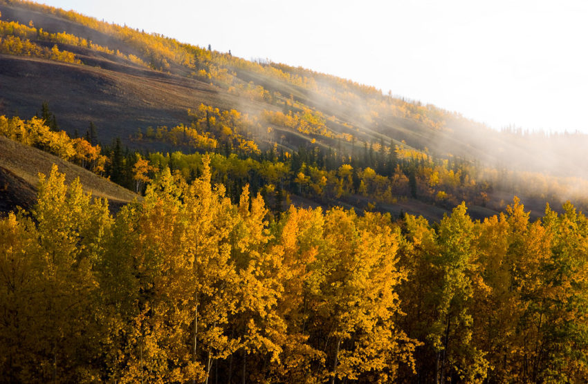 The South Canol Road - Canada - The Travel Hacking Life