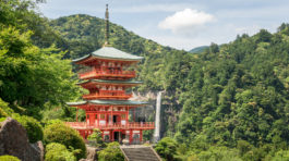 Kumano Kodo Pilgrim Trails - Honshu, Japan - The Travel Hacking Life