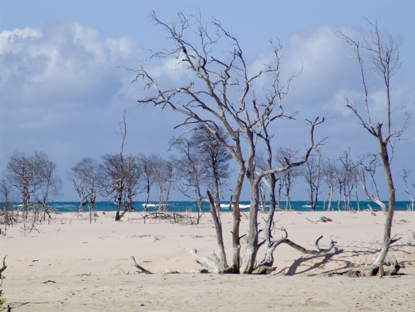 Brisa Mar Beach, Inhassoro, Mozambique