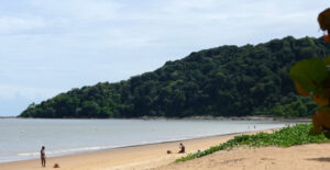 Cocosoda, French Guiana