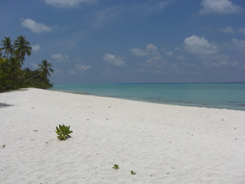 Rasdhoo Beach, Rasdhoo, Maldives