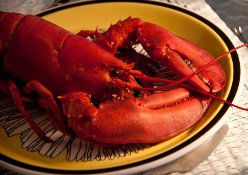 Traditional Saint Lucian Foods, Fresh Lobster
